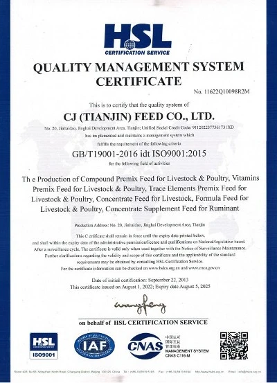 Certificate 01